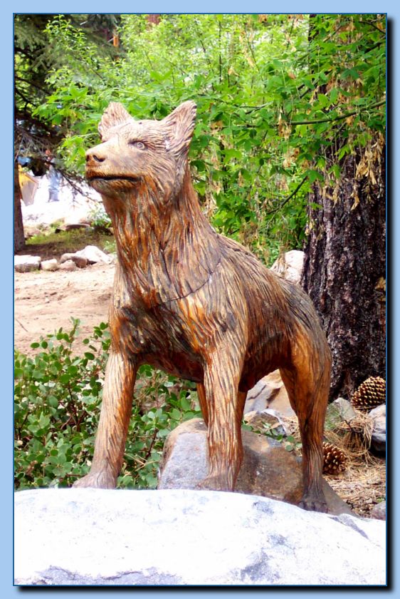 2-93 wolf-archive-0026